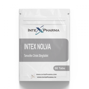 Intex Nolva