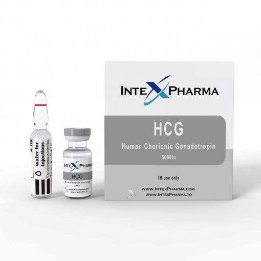Intex HCG 5000iu